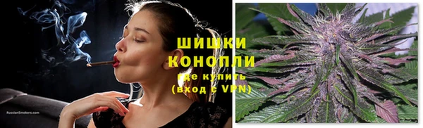 ГАЛЛЮЦИНОГЕННЫЕ ГРИБЫ Бронницы