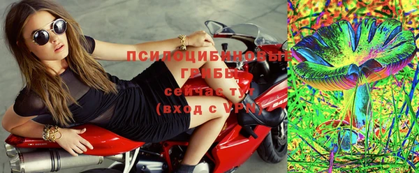 PSILOCYBIN Бугульма