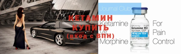 дмт Бородино