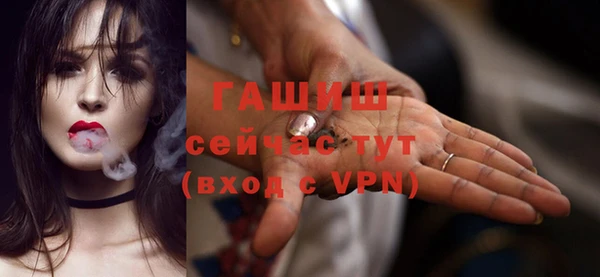дмт Бородино