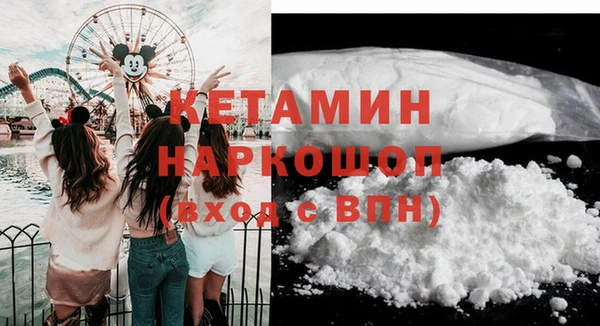 дмт Бородино