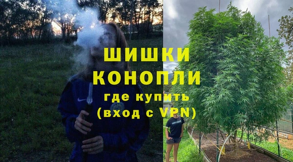 дмт Бородино