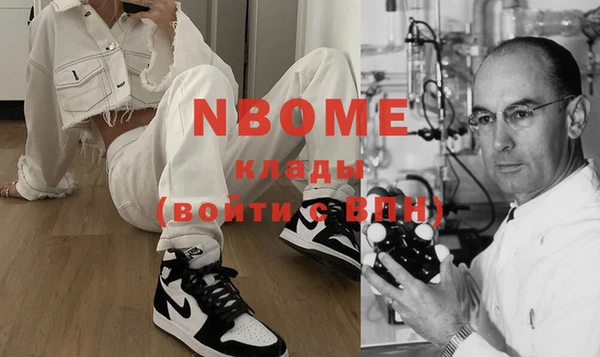 дмт Бородино