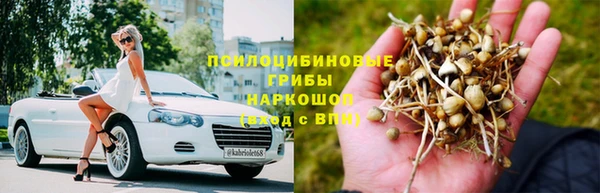 ГАЛЛЮЦИНОГЕННЫЕ ГРИБЫ Бронницы