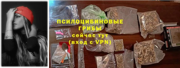 дмт Бородино