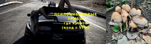 ГАЛЛЮЦИНОГЕННЫЕ ГРИБЫ Бронницы