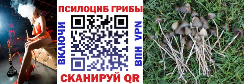 Галлюциногенные грибы GOLDEN TEACHER  Купить  Малмыж 